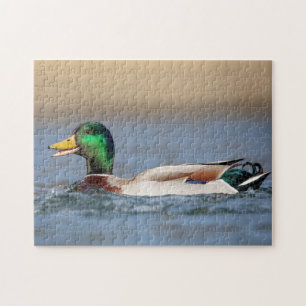 Mallard Duck in the Hudson Valley Jigsaw Puzzle