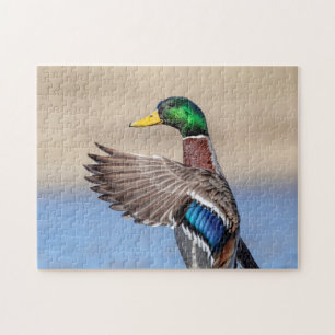 Mallard Duck in the Hudson Valley Jigsaw Puzzle