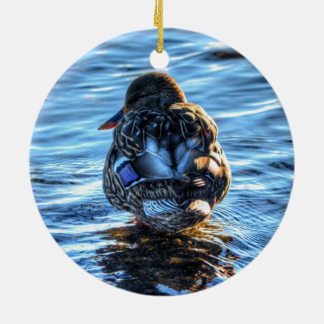 Mallard Duck in Winter River - Wildlife Photo Ceramic Ornament (Back)