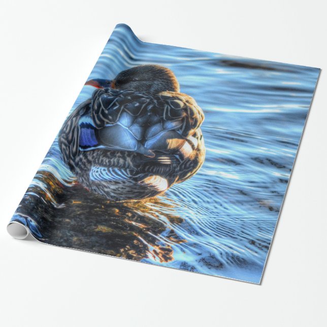 Mallard Duck in Winter River - Wildlife Photo Wrapping Paper (Unrolled)