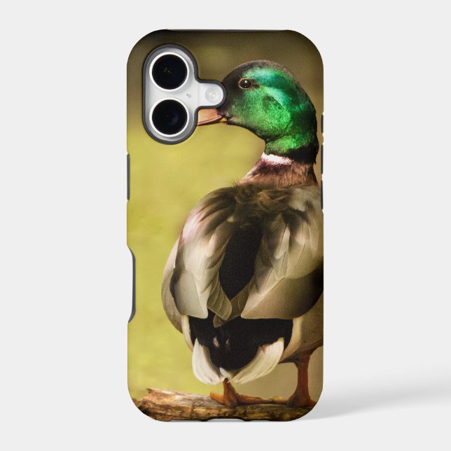 Mallard Duck Iphone Case (Back)