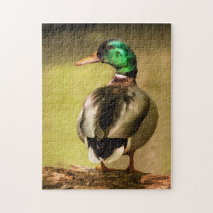 Mallard Duck Jigsaw Puzzle