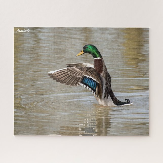 Mallard Duck Jigsaw Puzzle (Horizontal)