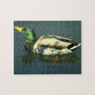 Mallard Duck Jigsaw Puzzle