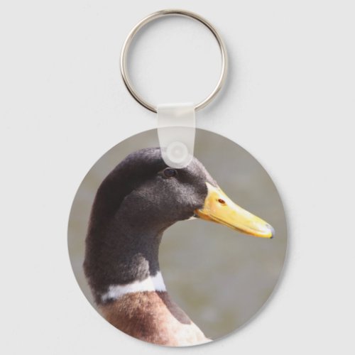 Mallard Duck Keychain