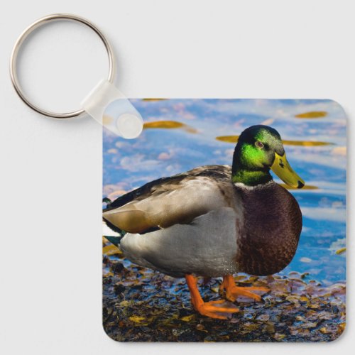 Mallard Duck Keyring
