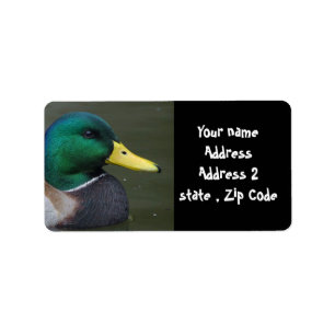 Mallard Duck Label