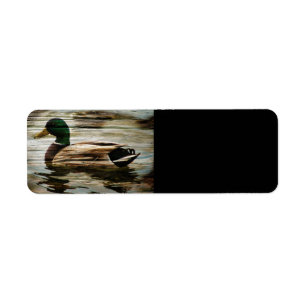 Mallard Duck Label