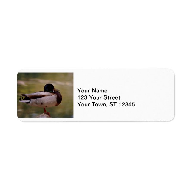 Mallard Duck Label (Front)