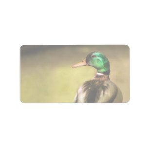 Mallard Duck Label