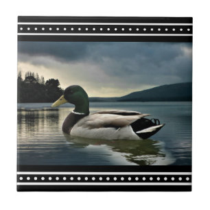 Mallard Duck Lake Ceramic Tile