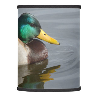 Mallard Duck Lampshade (Only Lampshade)