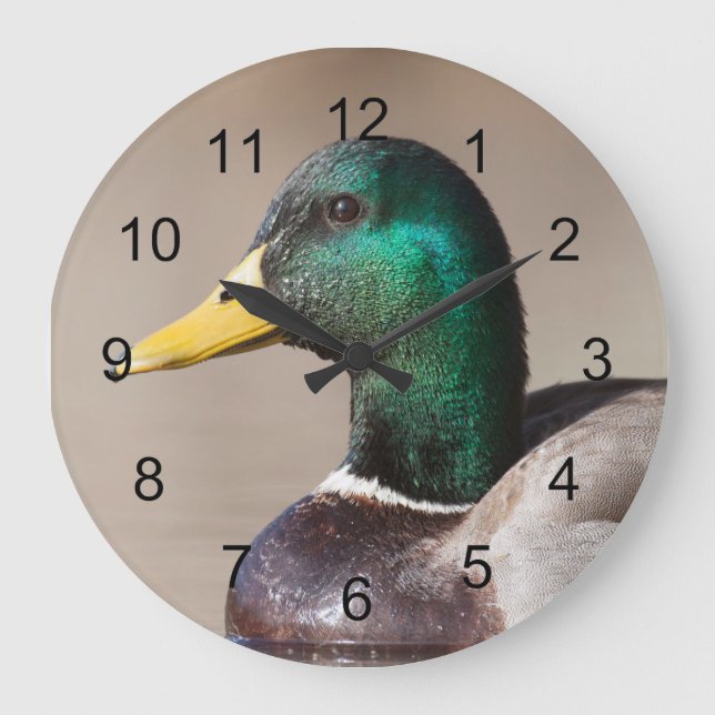 Mallard duck large clock (Front)