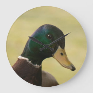 Mallard Duck Large Clock