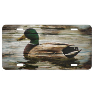Mallard Duck License Plate
