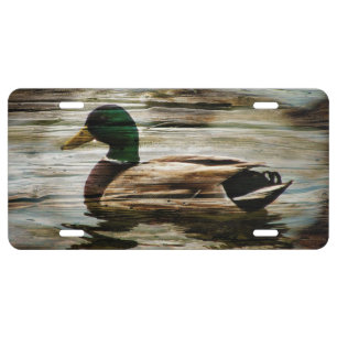 Mallard Duck License Plate