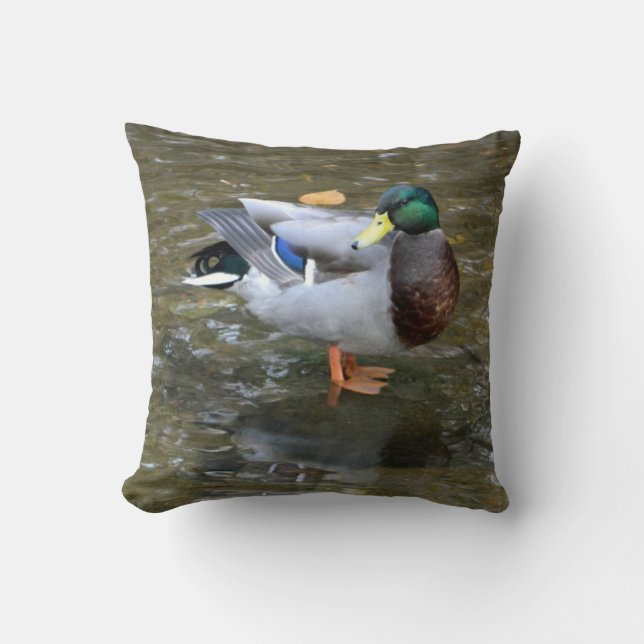 Mallard Duck (Male) in Creek Pillow (Front)