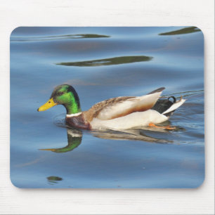 Mallard Duck Mouse Pad