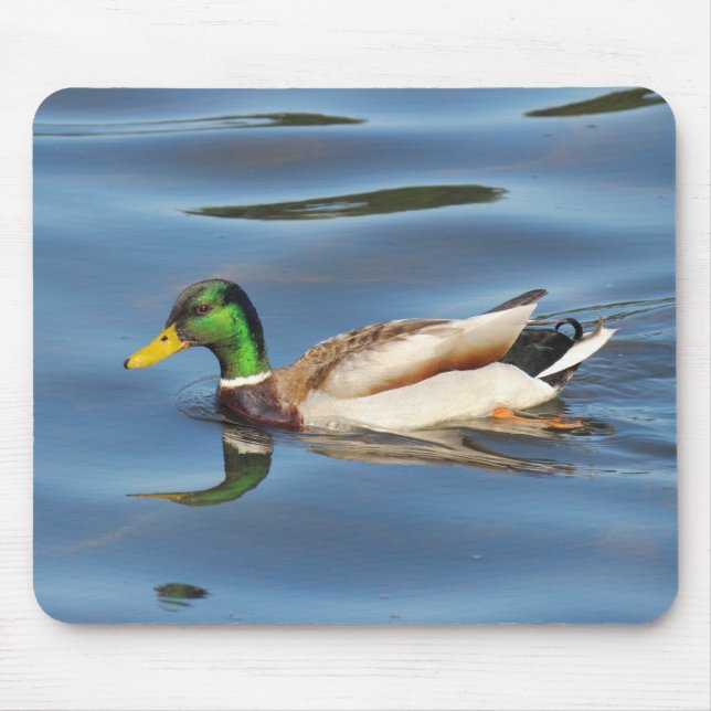 Mallard Duck Mouse Pad (Front)
