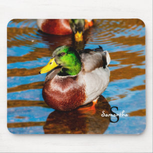 Mallard Duck Mouse Pad