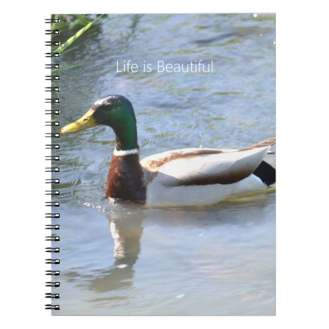 Mallard Duck (my photography) Notebook (Front)