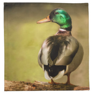 Mallard Duck Napkin