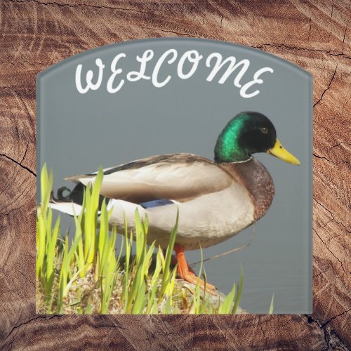 Mallard Duck Nature Photo Welcome Door Sign