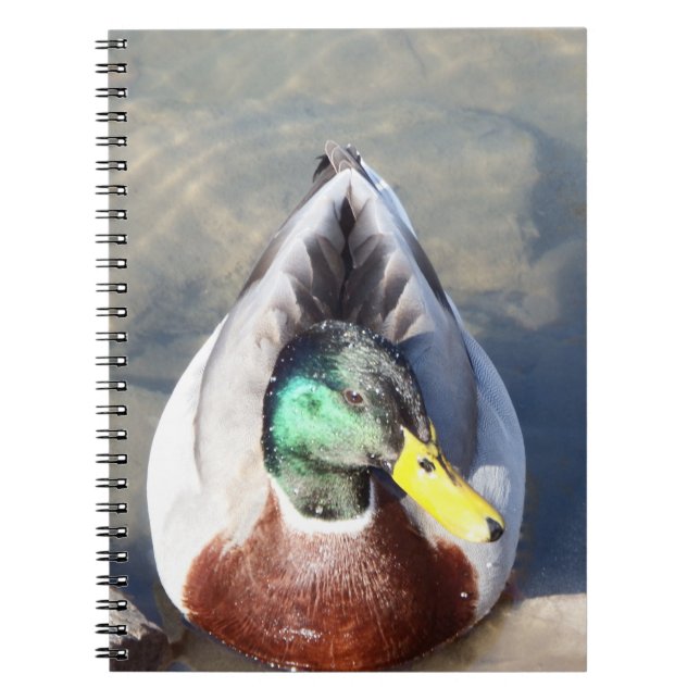 Mallard Duck Notebook (Front)