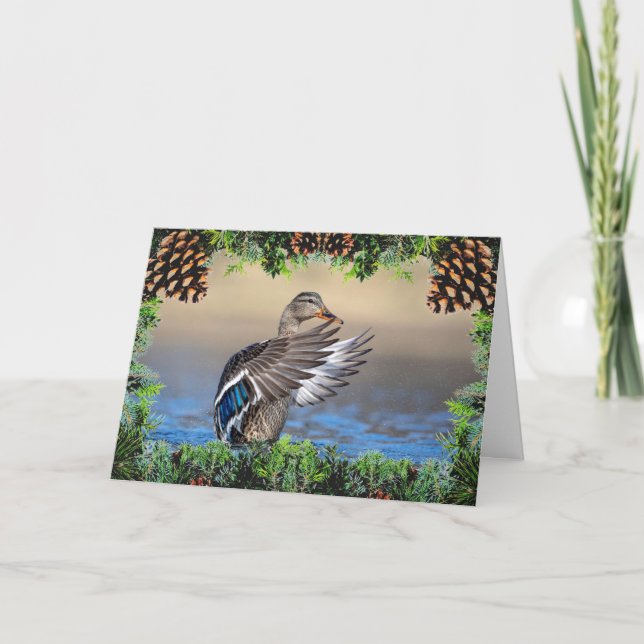 Mallard Duck on a Christmas Card (Front)