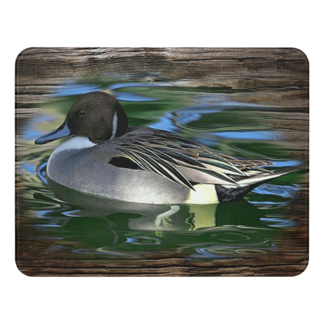 Mallard Duck On Lake Door Sign (Contemporary Front)