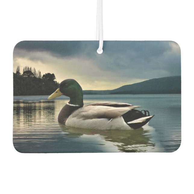 Mallard Duck On The Lake Air Freshener (Front)