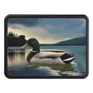 Mallard Duck On The Lake Hitch Cover