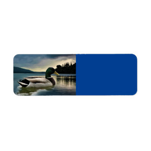 Mallard Duck On The Lake Label