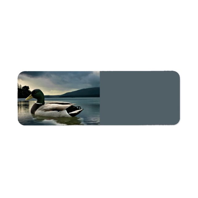 Mallard Duck On The Lake Label (Front)