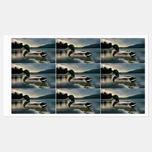 Mallard Duck On The Lake Labels