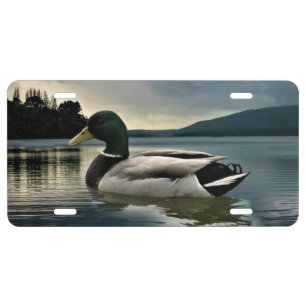 Mallard Duck On The Lake License Plate