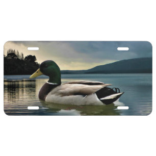 Mallard Duck On The Lake License Plate
