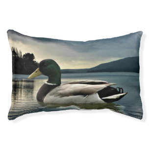 Mallard Duck On The Lake Pet Bed