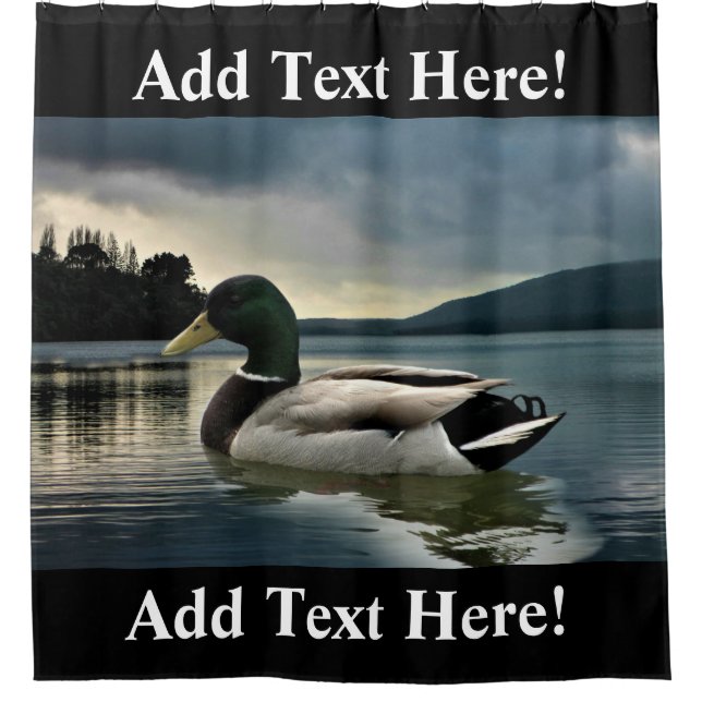 Mallard Duck On The Lake Shower Curtain (Front)