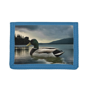 Mallard Duck On The Lake Trifold Wallet
