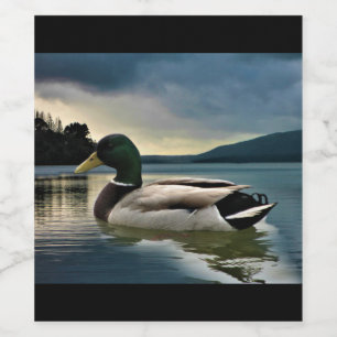 Mallard Duck On The Lake Wine Label