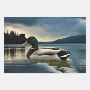 Mallard Duck On The Lake Wrapping Paper Sheets