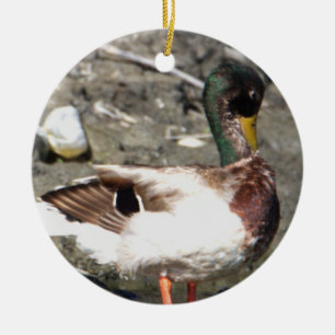 Mallard Duck Ornament 