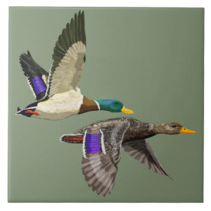 Mallard duck pair in flight ceramic tile