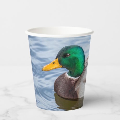 Mallard Duck Paper Cups