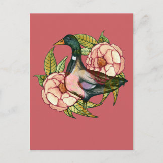 Mallard Duck Peony Nature Lovers                   Postcard