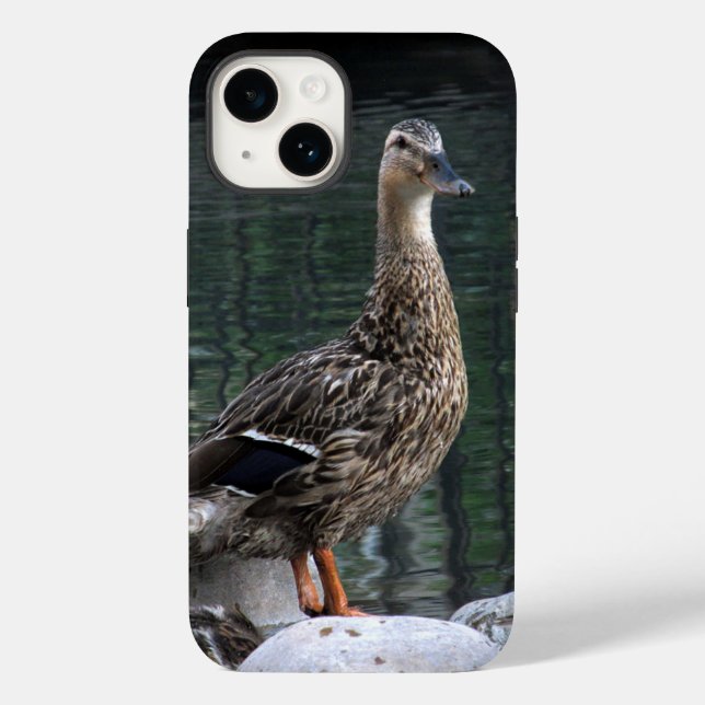 Mallard Duck Phone Case (Back)