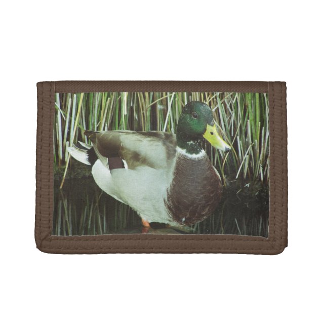 Mallard Duck Photo Beautiful Male Lake Bird Trifold Wallet (Front)