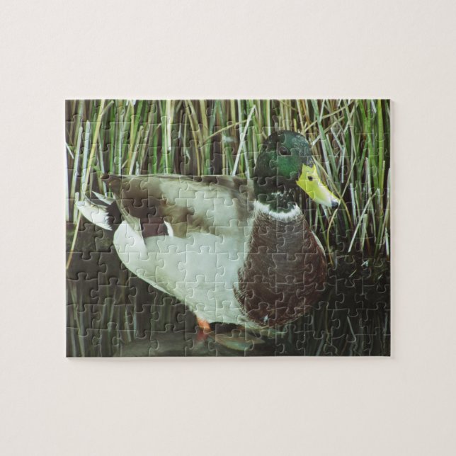 Mallard Duck Photo Lake Wildlife Water Bird Jigsaw Puzzle (Horizontal)