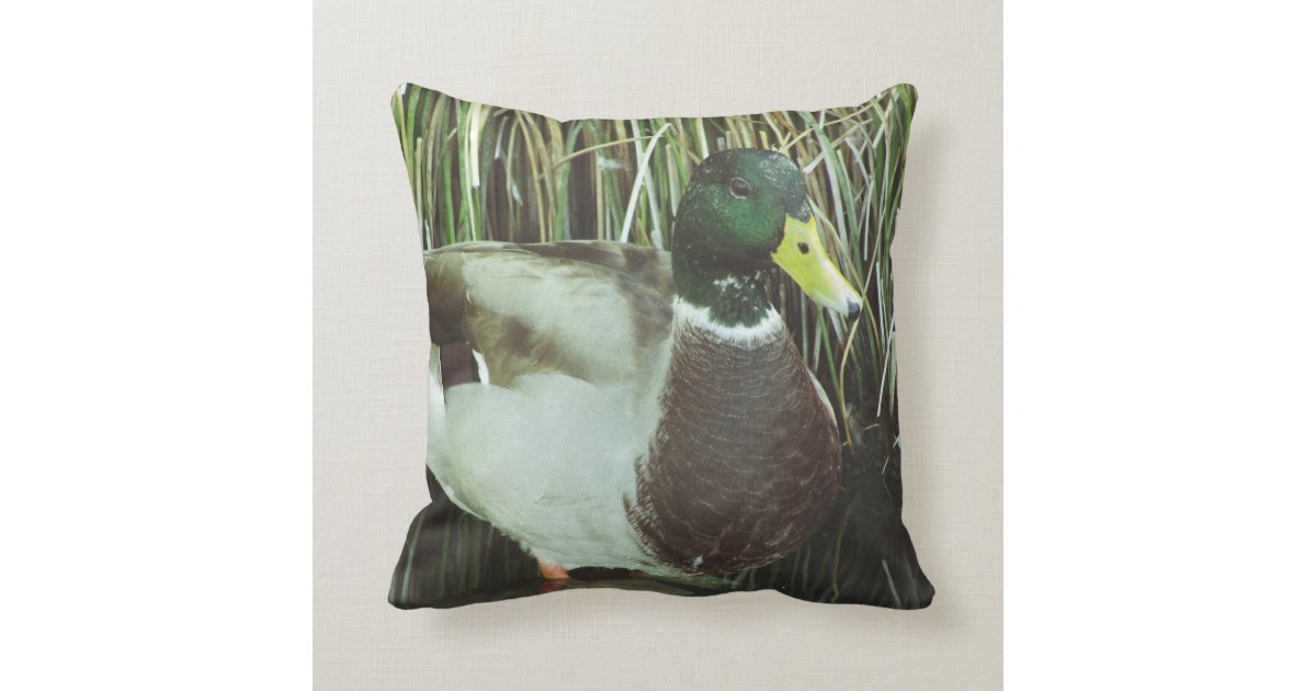 mallard plush pillow